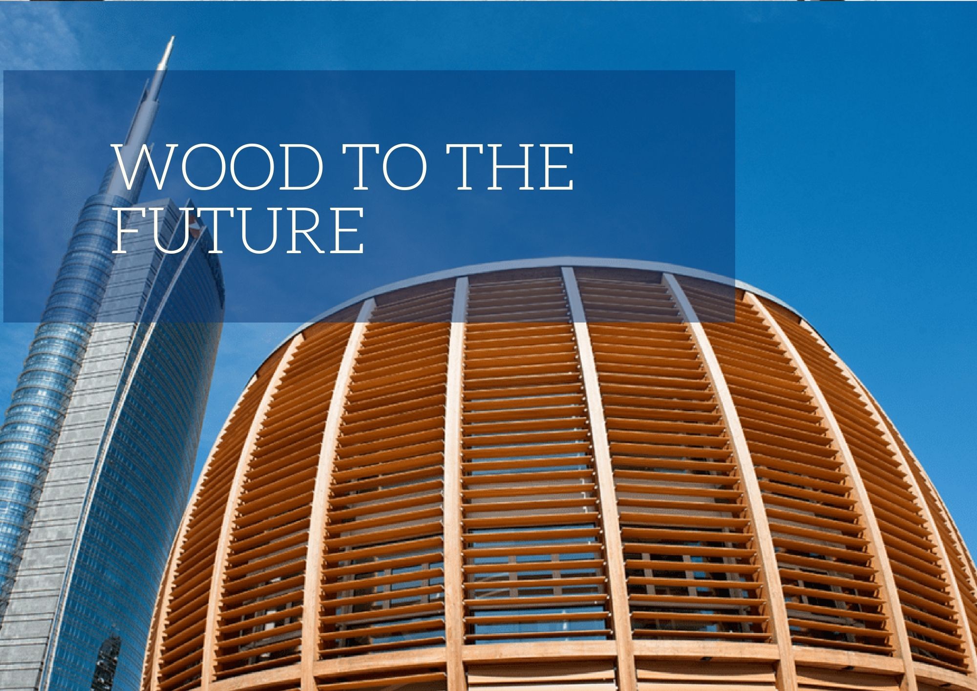 WOOD TO THE FUTURE