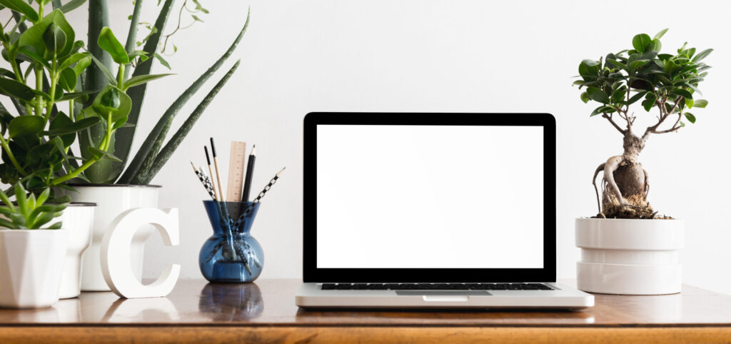 Indoor plants and a laptop placed on a desk