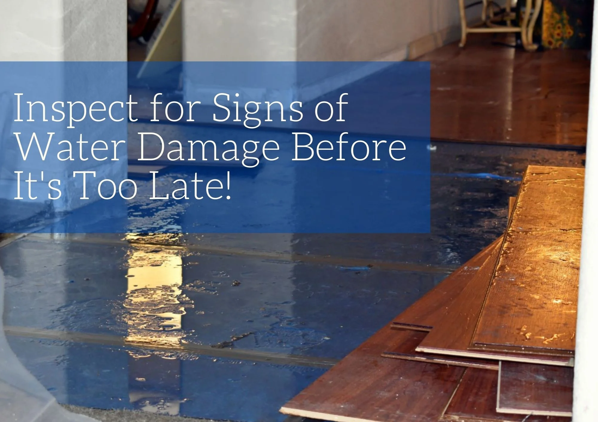 Inspect for signs of water damage before it's too late.