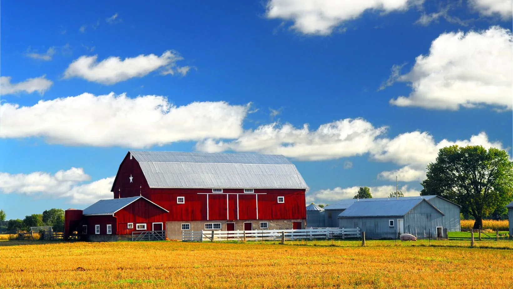 A large red barn in a field