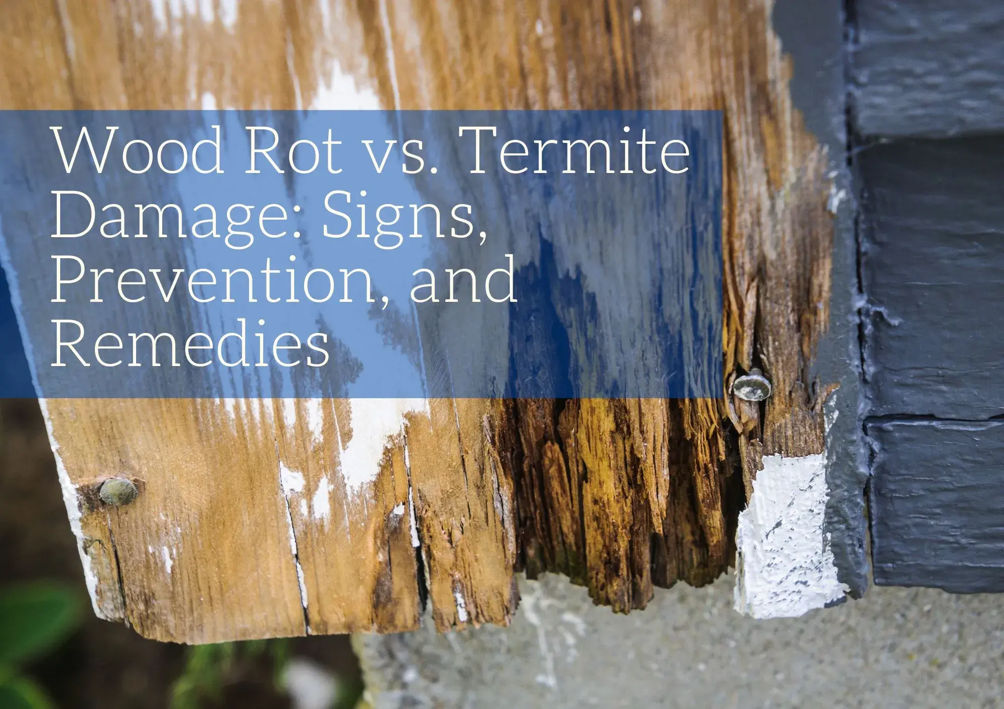 Wood Rot vs. Termite Damage: Signs, Prevention, and Remedies