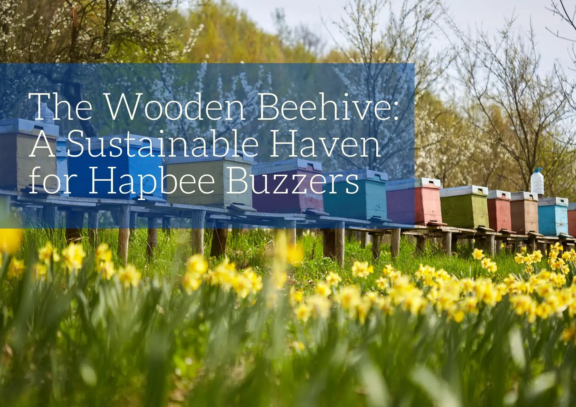 The Wooden Beehive
