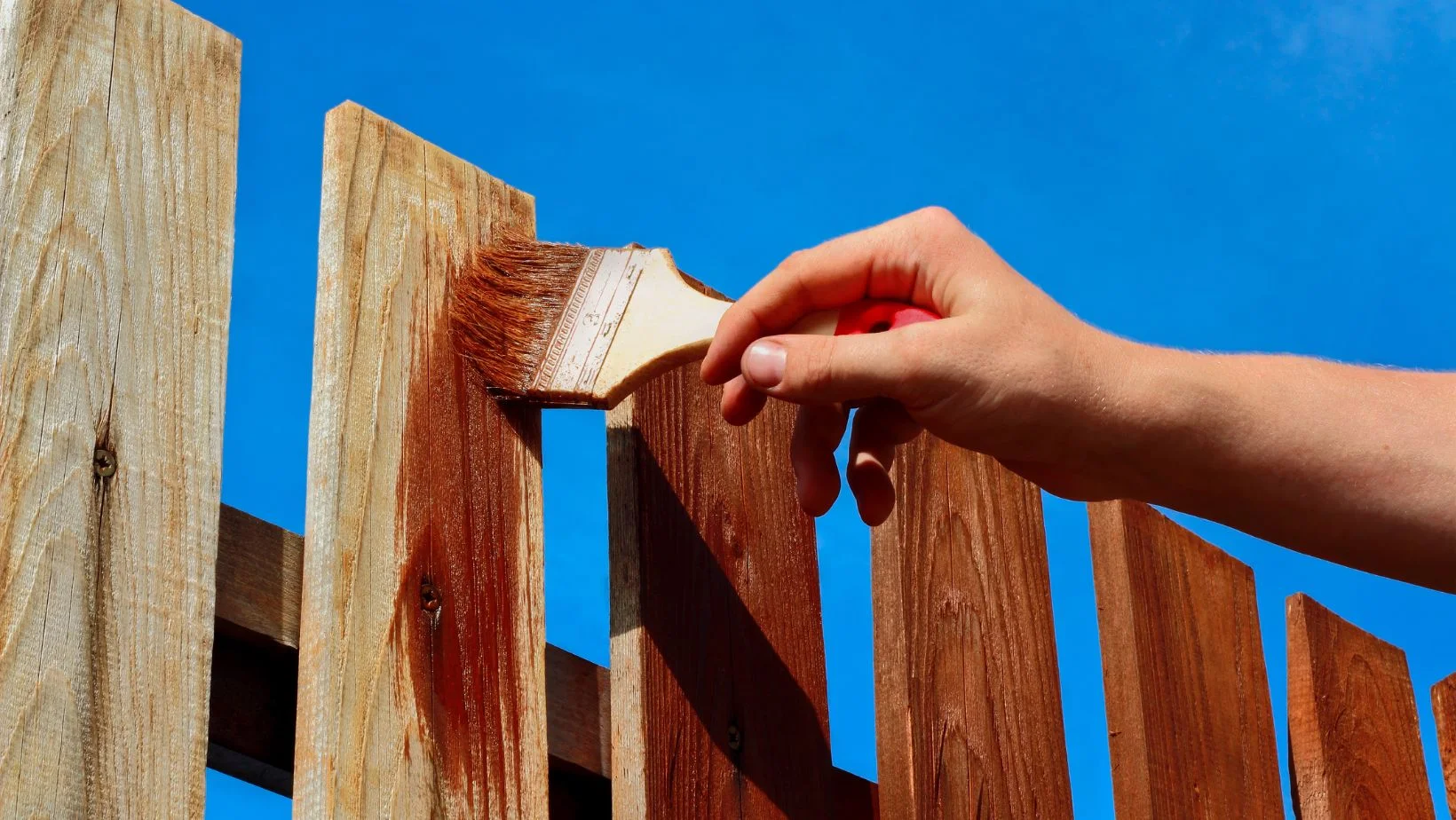 staining a wooden fence with a brush