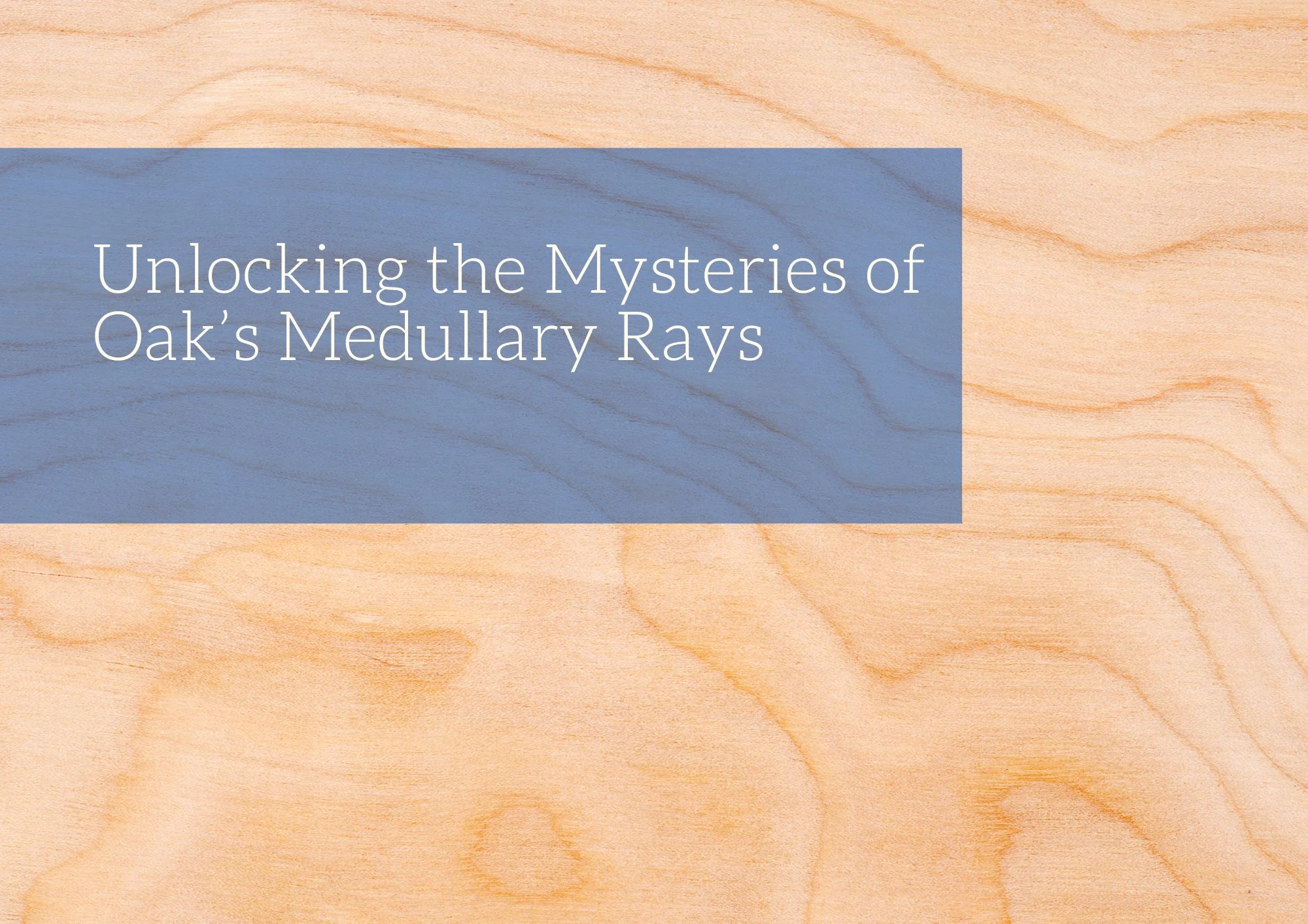 Unlocking the Mysteries of Oak’s Medullary Rays