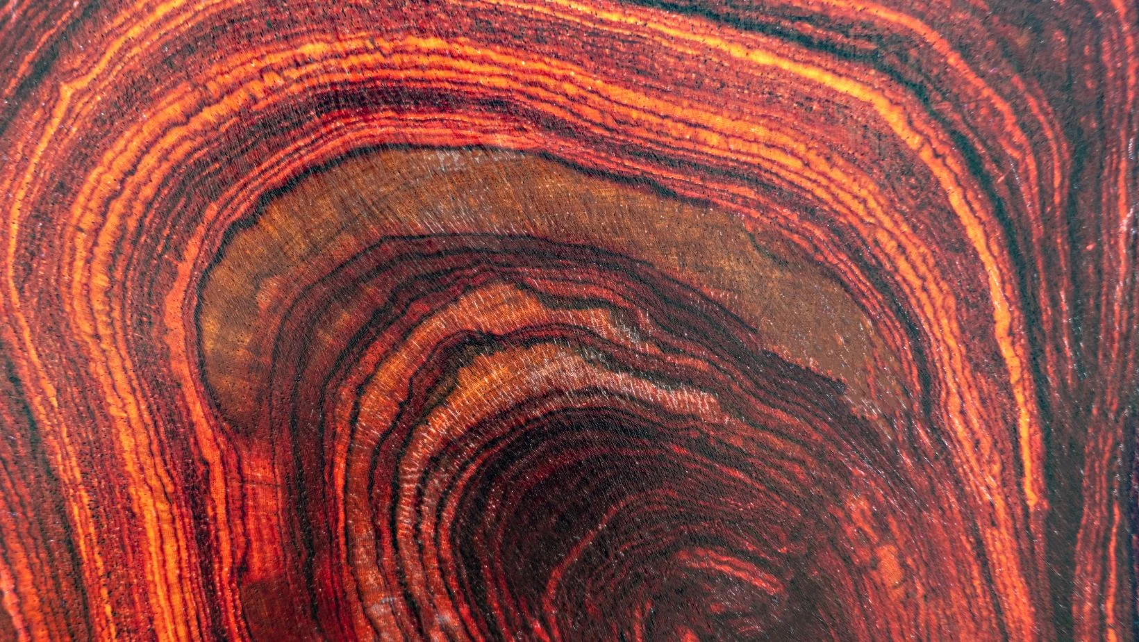 brazilian rosewood