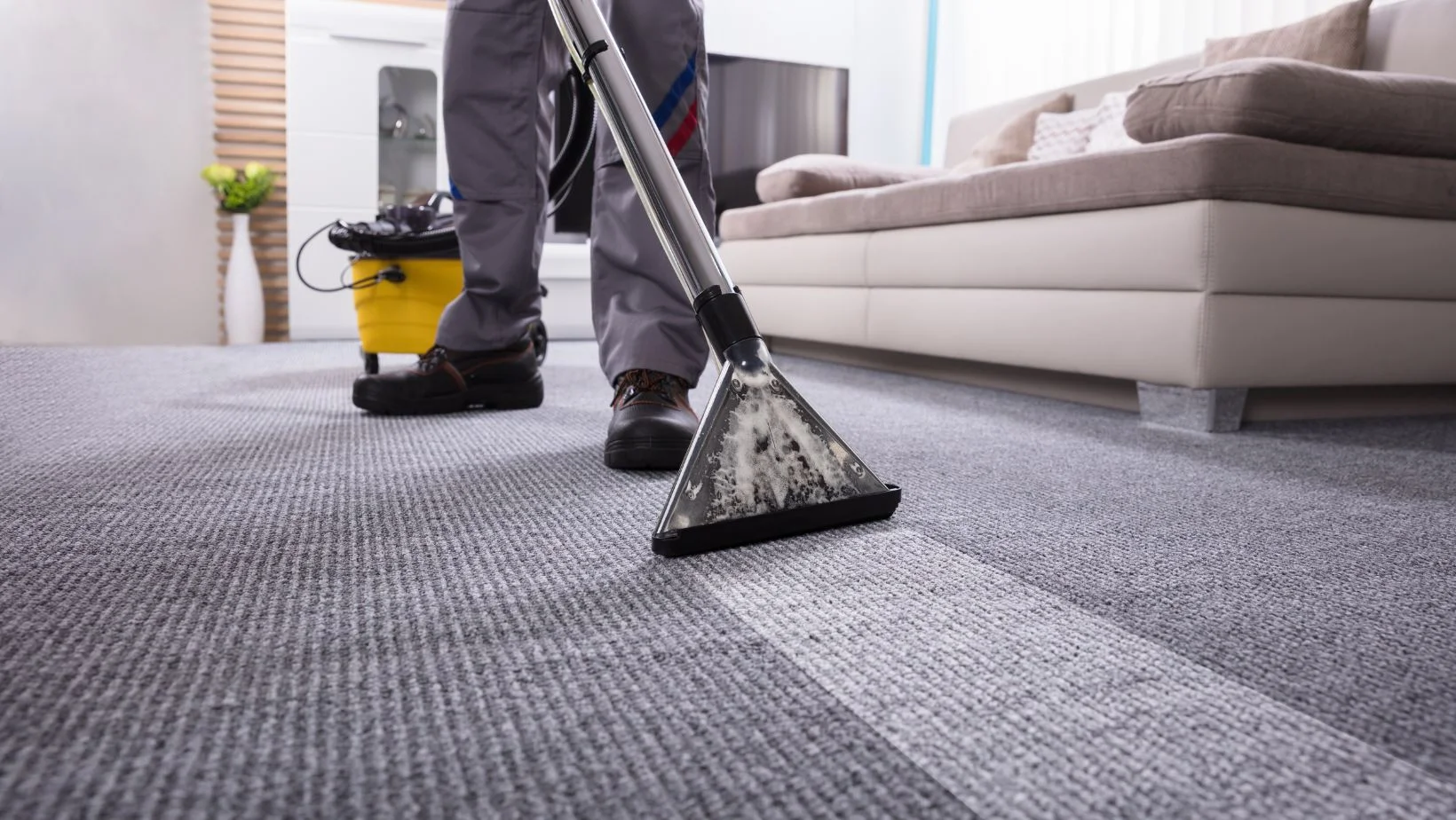 vacuuming a carpet